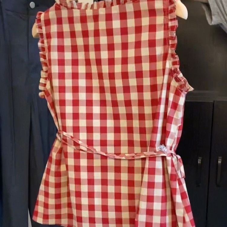 Retro Red Plaid Sleeveless Ves – Corset Waist Cinch Bewertung und Preis