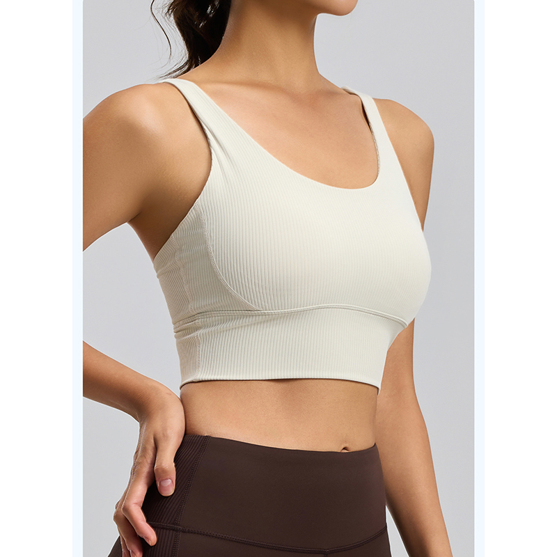 2026 New Women Ribbed High Imp – Sports Bra High Impact Bewertung und Preis